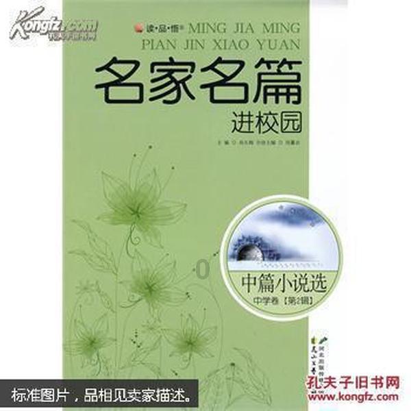 意想不到的旅程