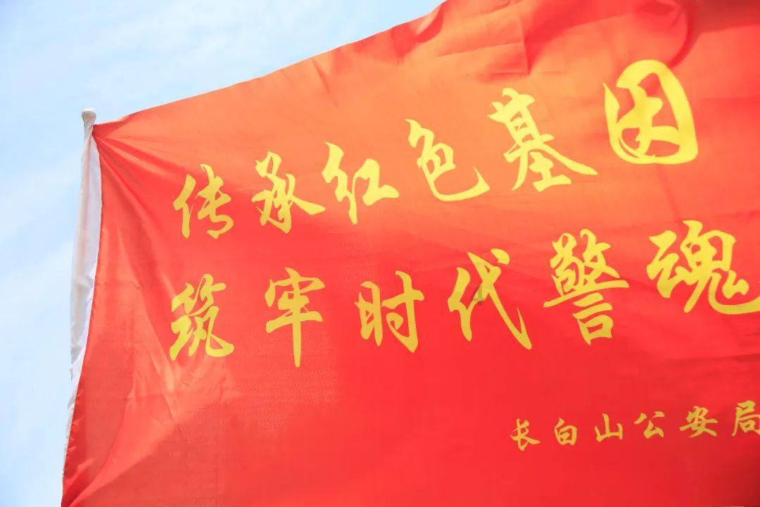 救援小孔雀