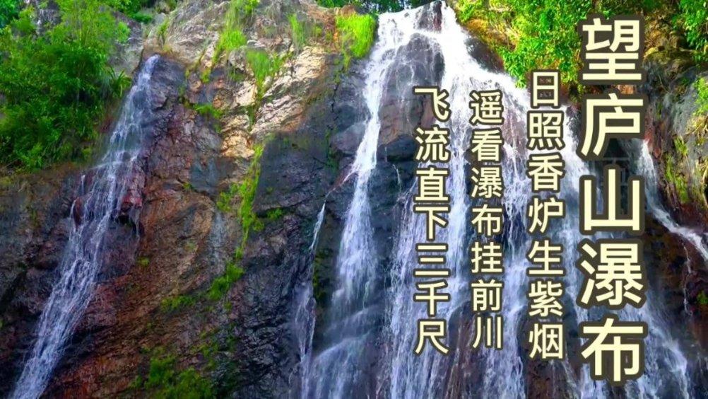 呆萌动物园